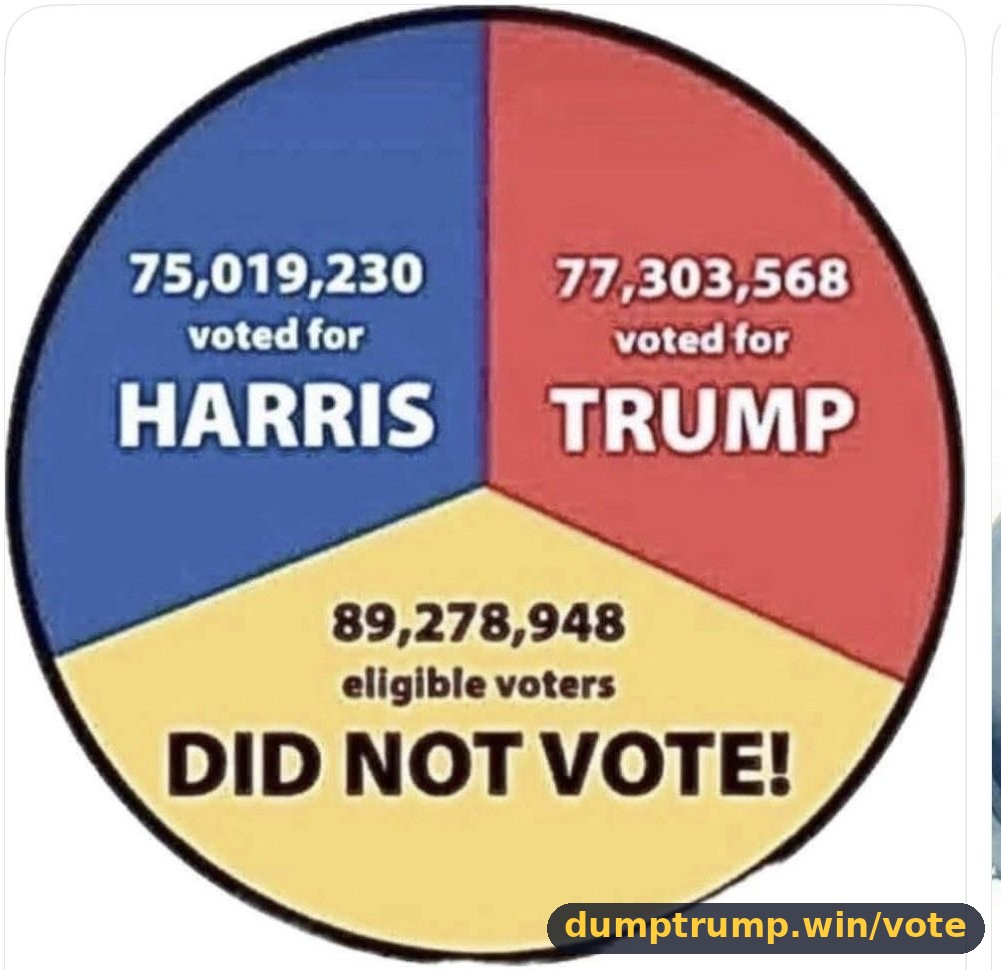 75,019,230 voted for HARRIS TRUMP 89,278,948 eligible voters DID NOT VOTE! (meme text)