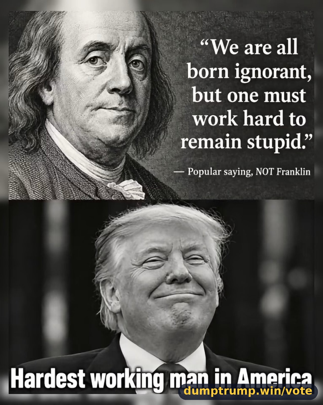 “We are all born ignorant, but one must work hard to remain stupid.” Popular saying, NOT Franklin Hardest wo man in America, (meme text)