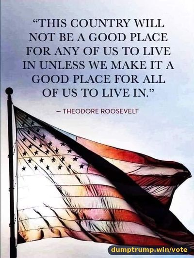 “THIS COUNTRY WILL NOT BE GOOD PLACE FOR ANY OF US TO LIVE IN UNLESS WE MAKE IT GOOD PLACE FOR ALL OF US TO LIVE IN.” THEODORE ROOSEVELT (meme text)