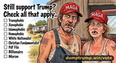 Still support Trump? Vy. Check all that Transphobic Xenophobic C1 Islamaphobic (1 Homophobic Ci White Nationalist Christian Fundamentalist Pdf File Billionaire Moron (meme text)